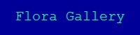 flora